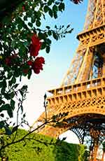 Eiffel tower paris