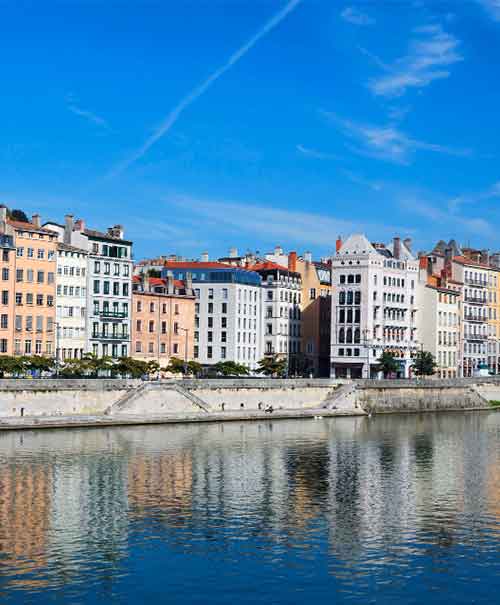 lyon-1