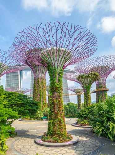 singapore-Green-Spaces