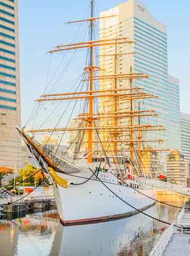 Combined-Voyages-picture