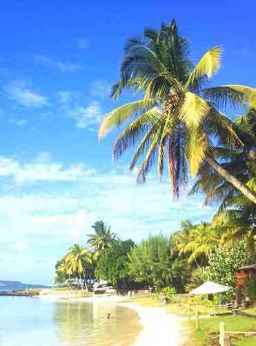 The-Beaches-&-Coast-picture